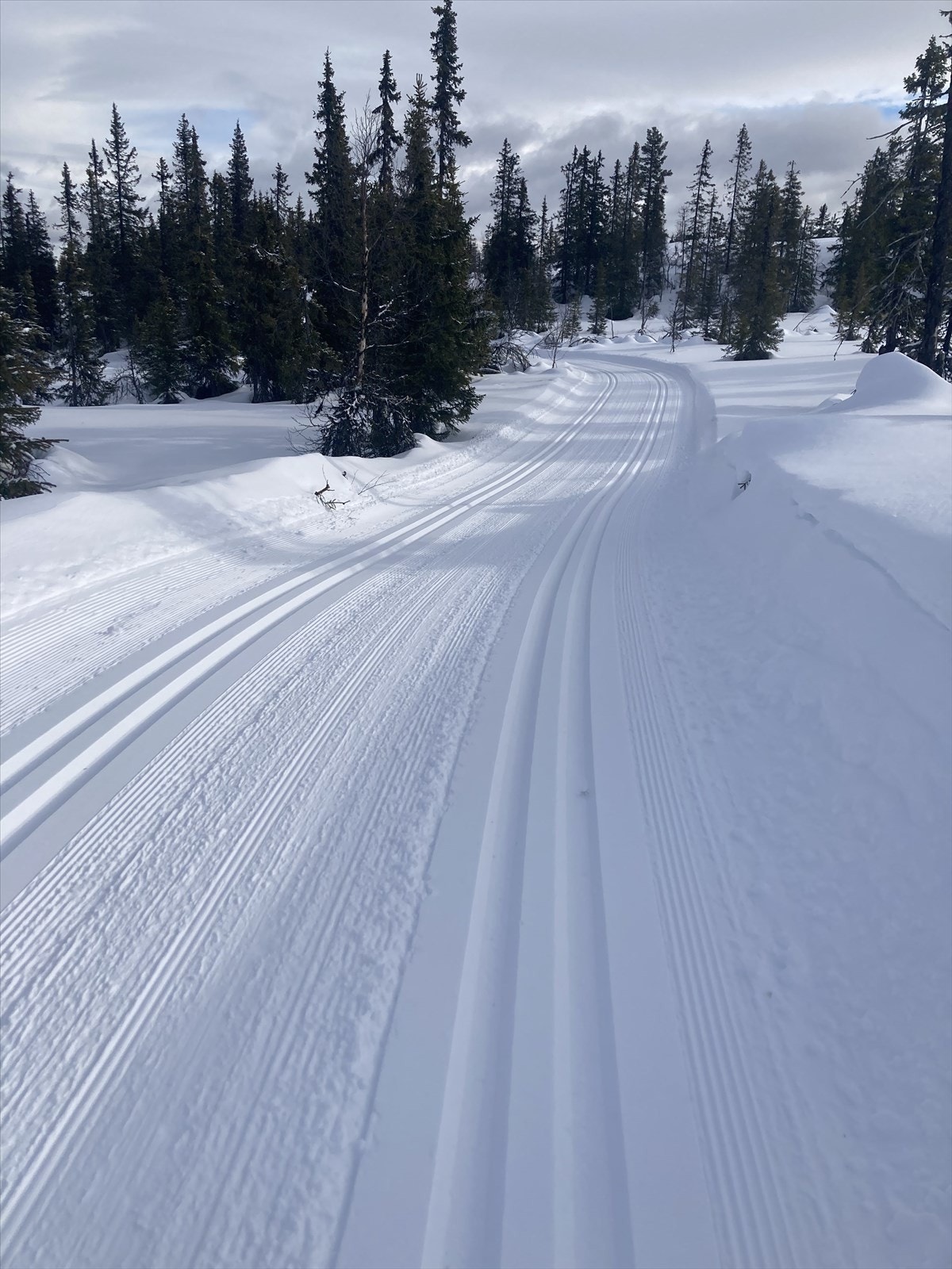 Vinterbilde tatt av selger - Skiløype Høllatrøe ca. 350 meter fra hytten. Galleribilde