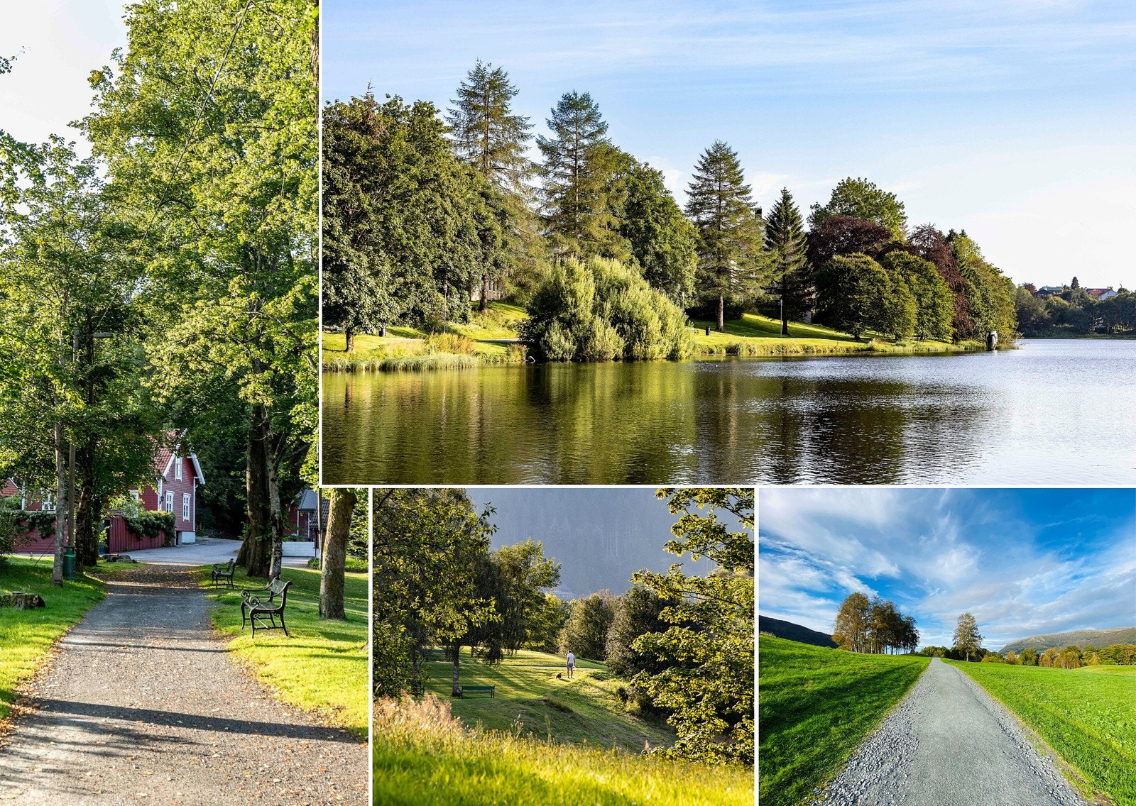 Fra leiligheten har du turområder i alle retninger - enten du foretrekker rolige turer i lavlandet eller de mer luftige stiene i byfjellene. Galleribilde