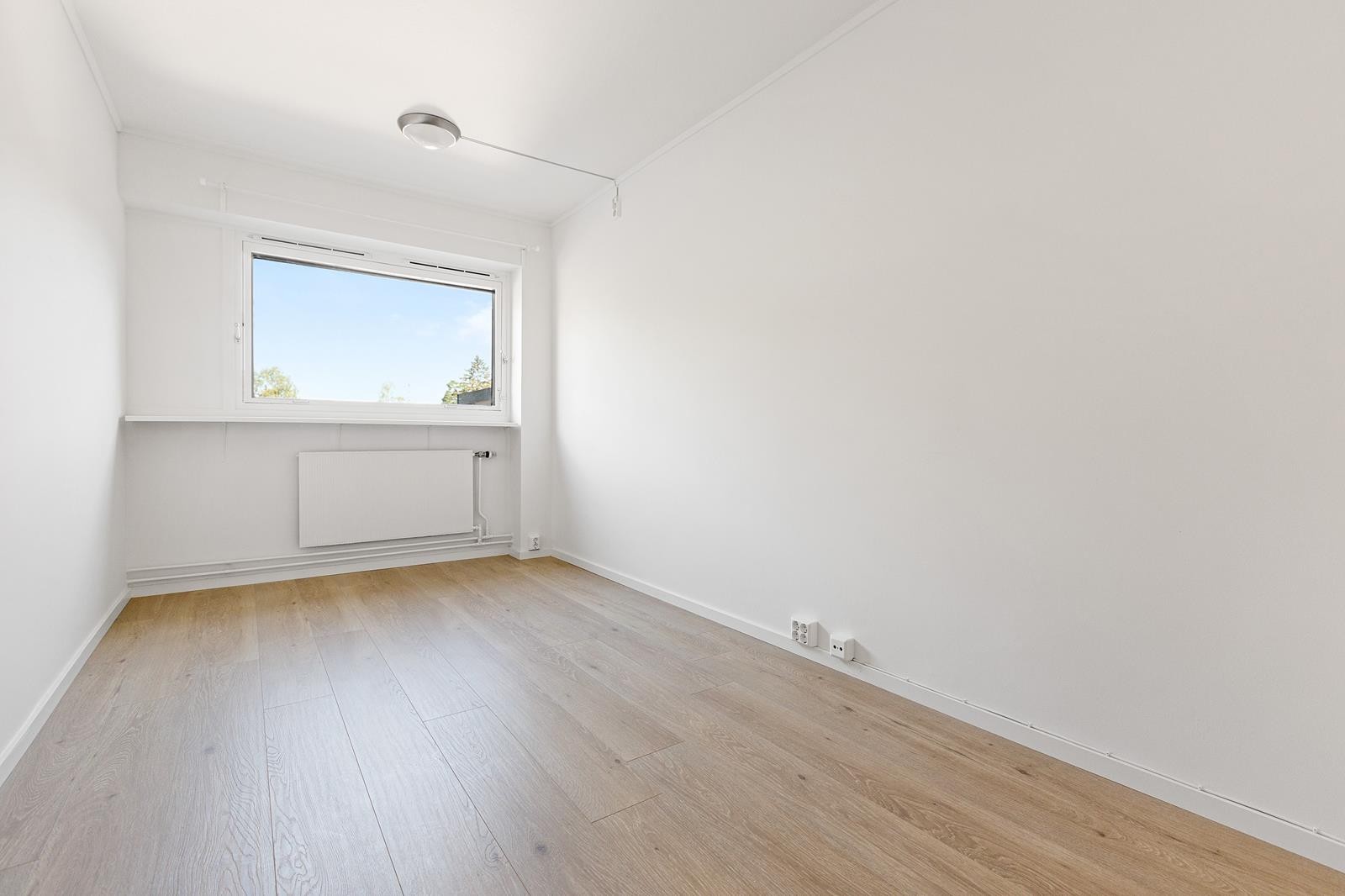 Mye lys fra store vindusflater Galleribilde