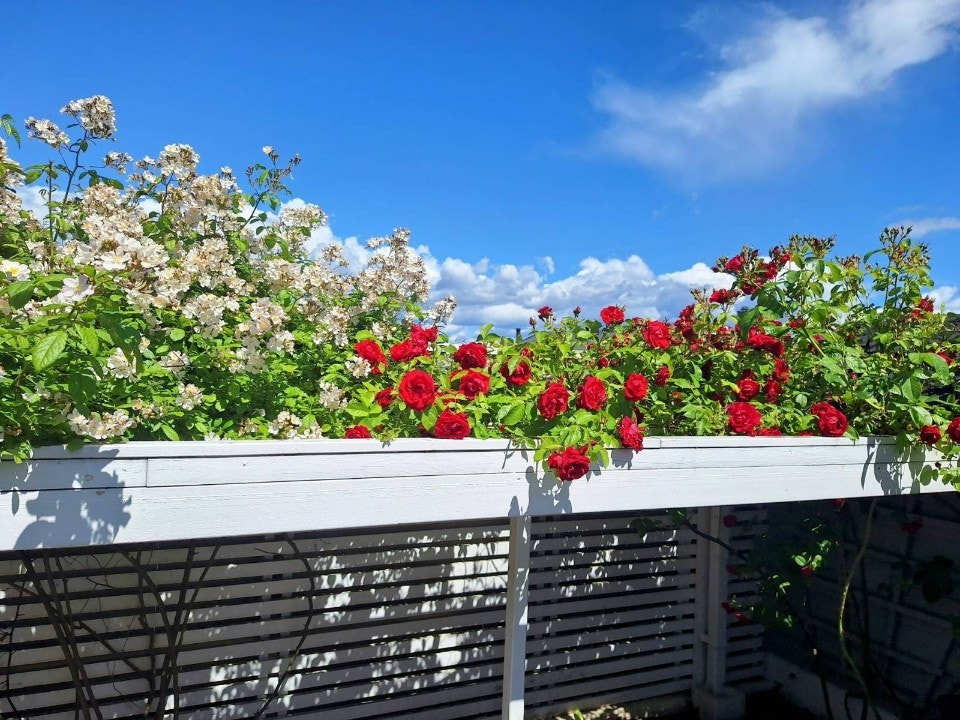 Et meget pent opparbeidet uteområde. Selgers bilde Galleribilde