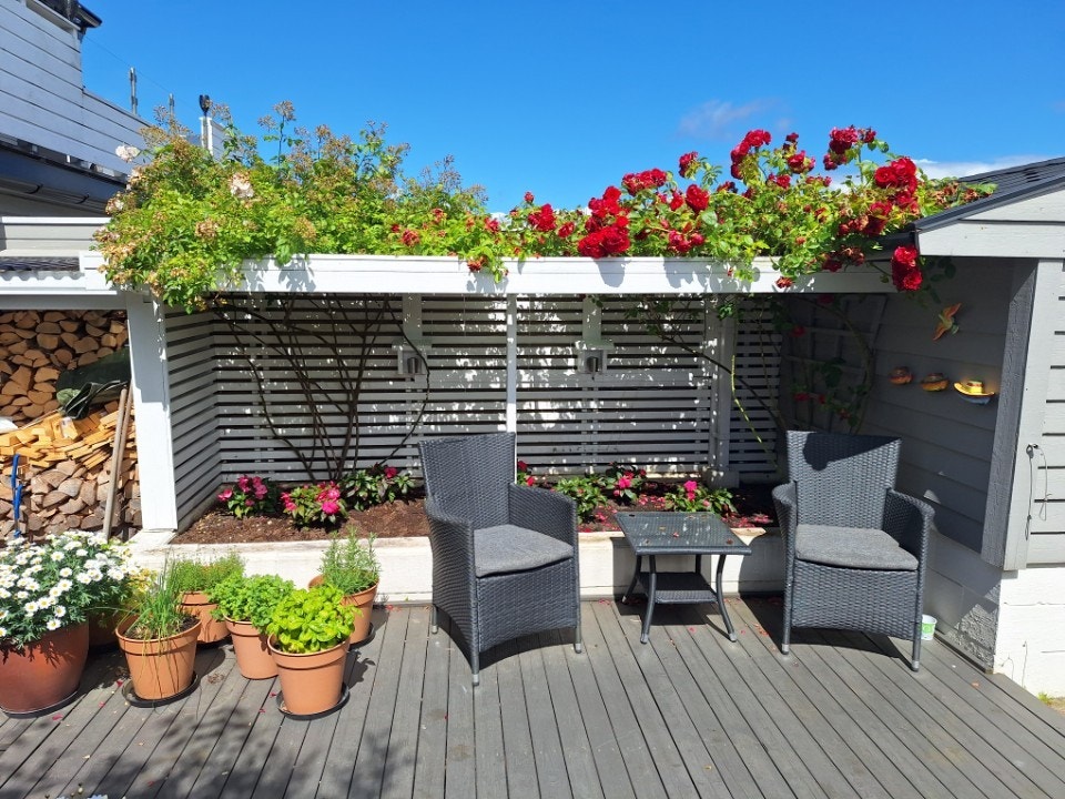 Selgers bilde fra sommerstid Galleribilde