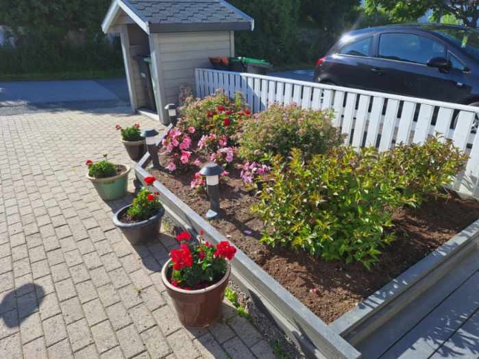 Selgers bilde, oppkjørsel Galleribilde