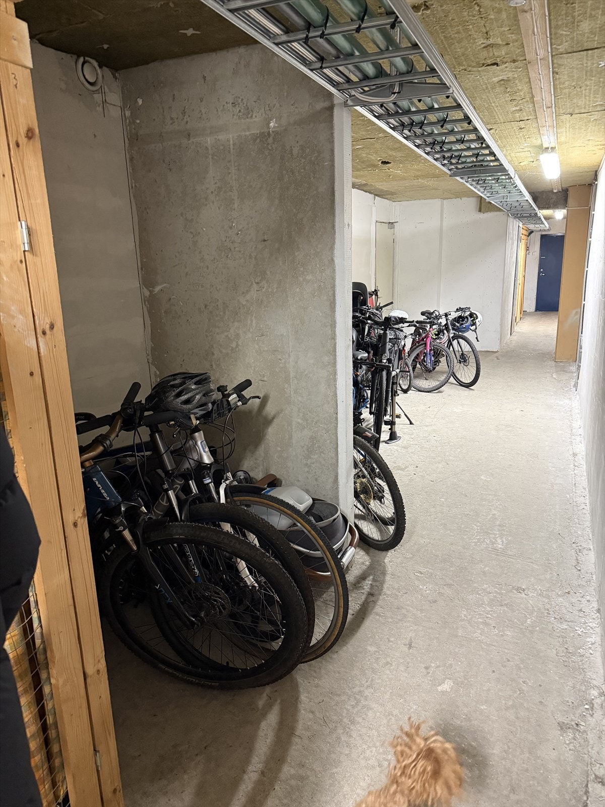 Gangarealer der bodene ligger i underetasjen Galleribilde