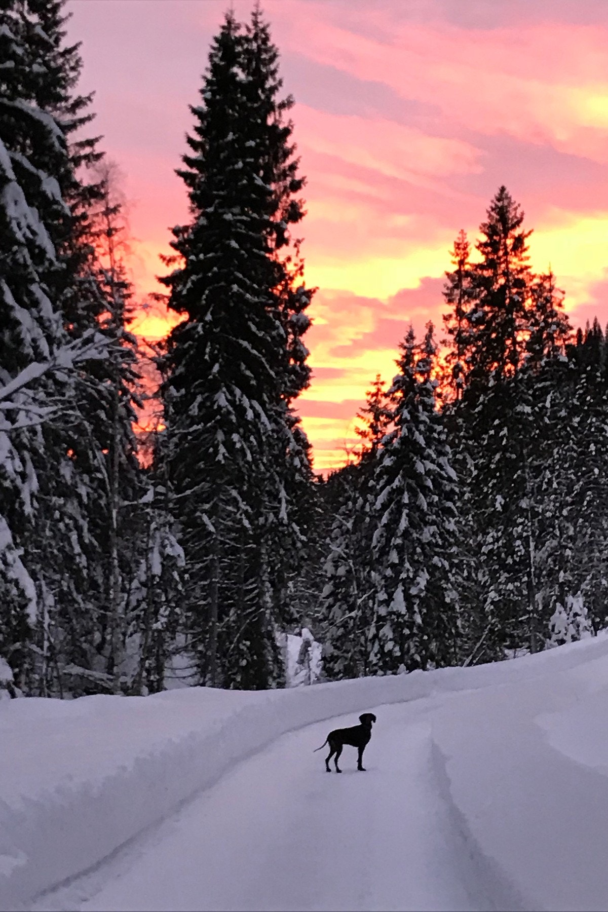 Nærområdet byr på flotte turmuligheter Galleribilde