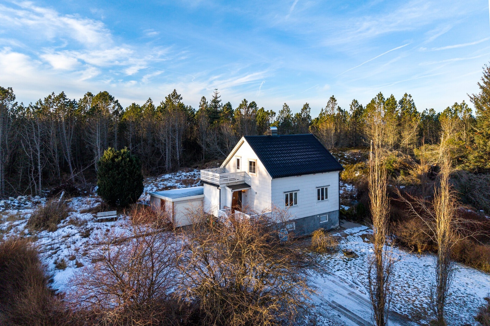 Velkommen til visning! Galleribilde