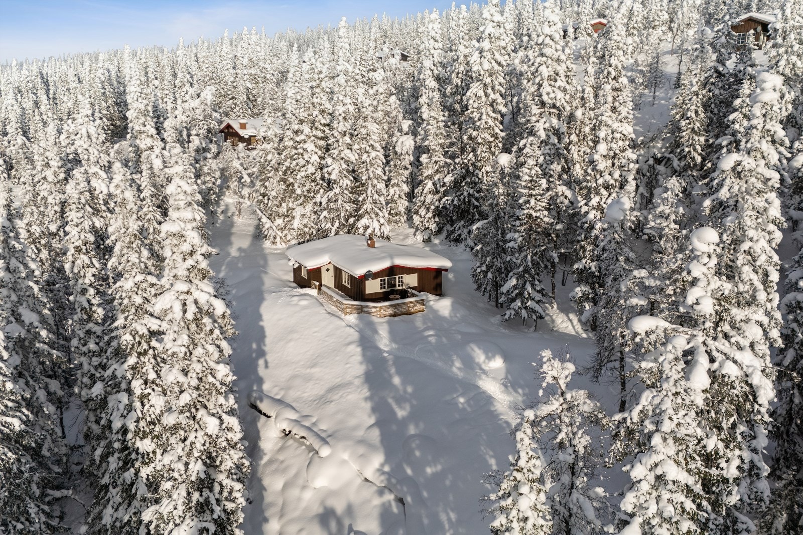 Det finnes mange merkede stier for både korte og lange turer, inkludert turer til Bergshammaren, Seteråsen og Haglebunatten. Galleribilde
