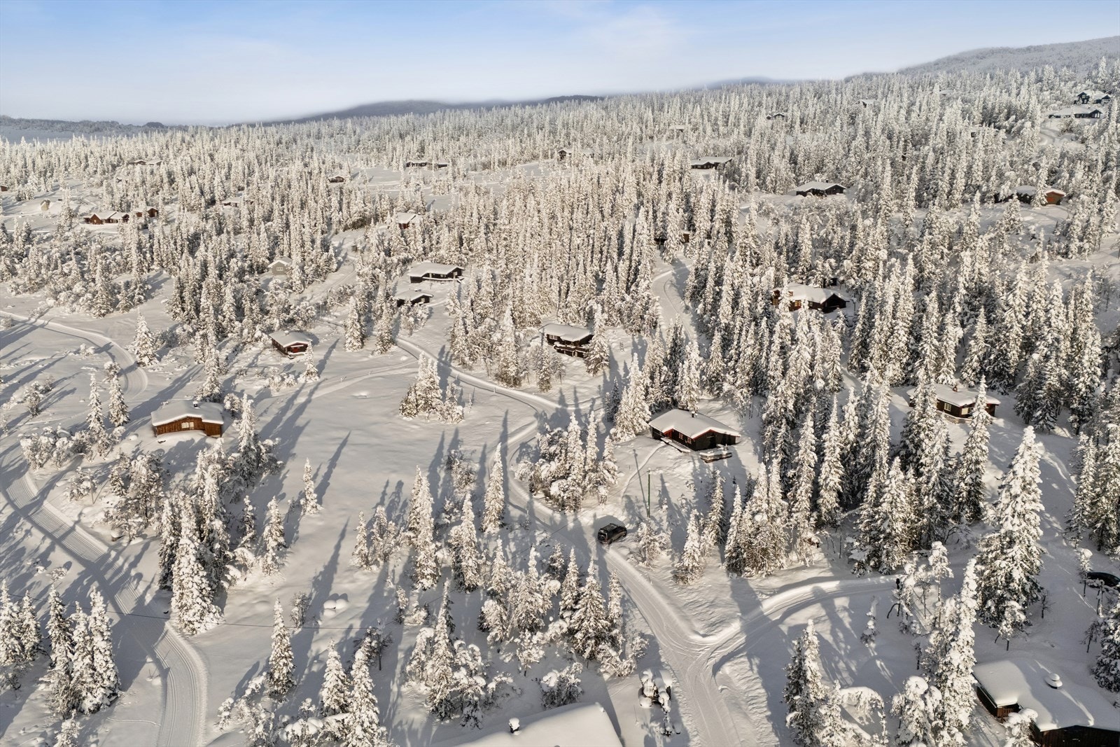 Velkommen til visning! Galleribilde