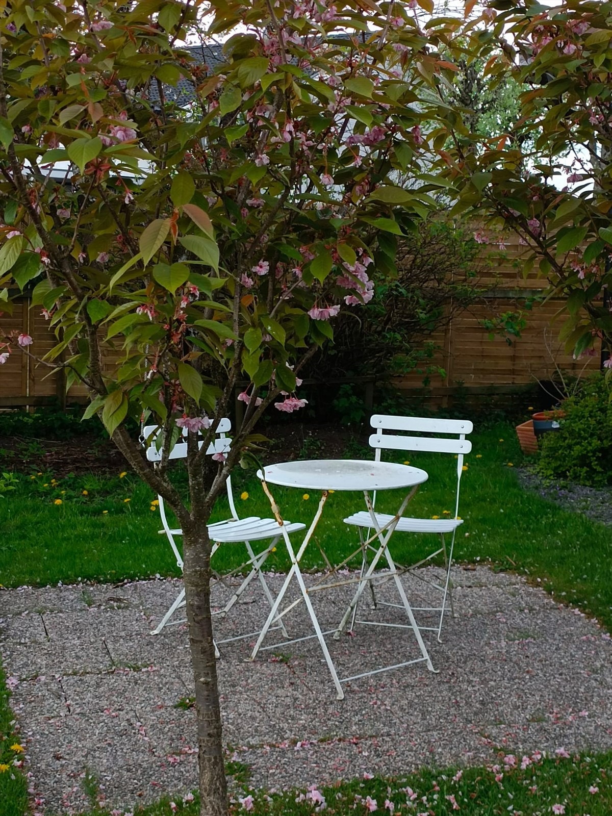 Selgers nydelige sommerbilder. Galleribilde