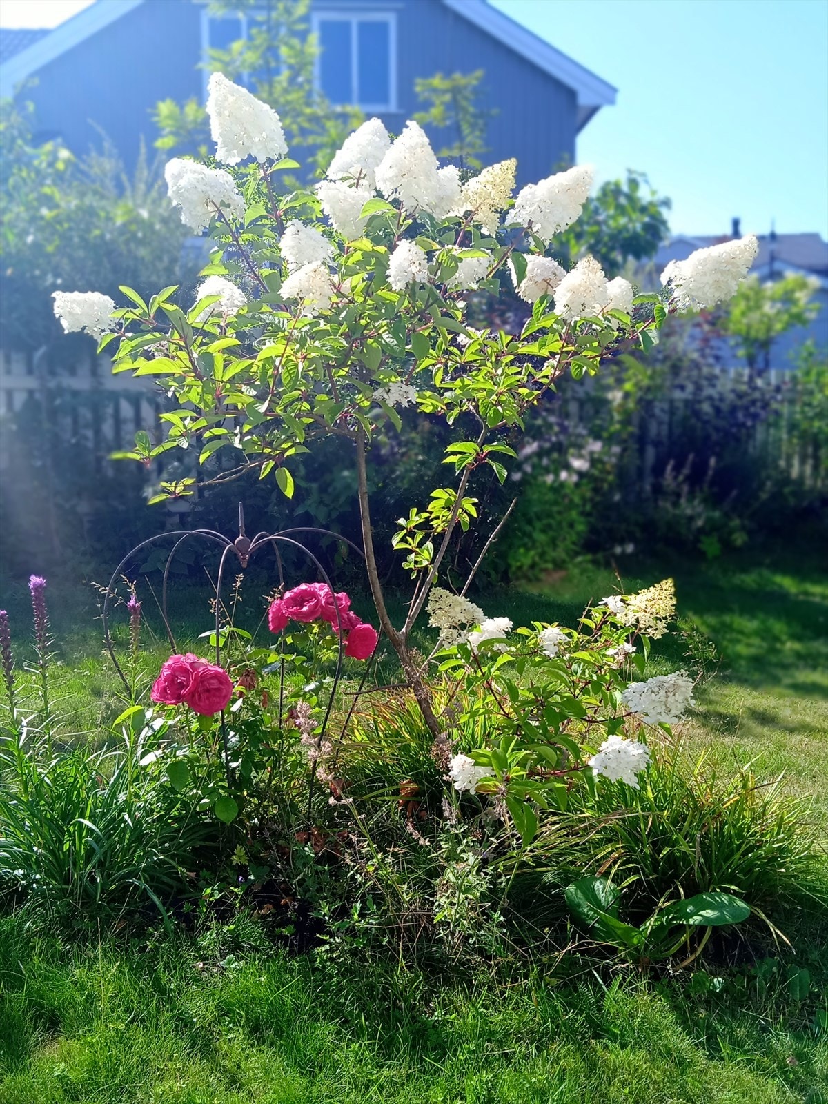 Selgers nydelige sommerbilder. Galleribilde