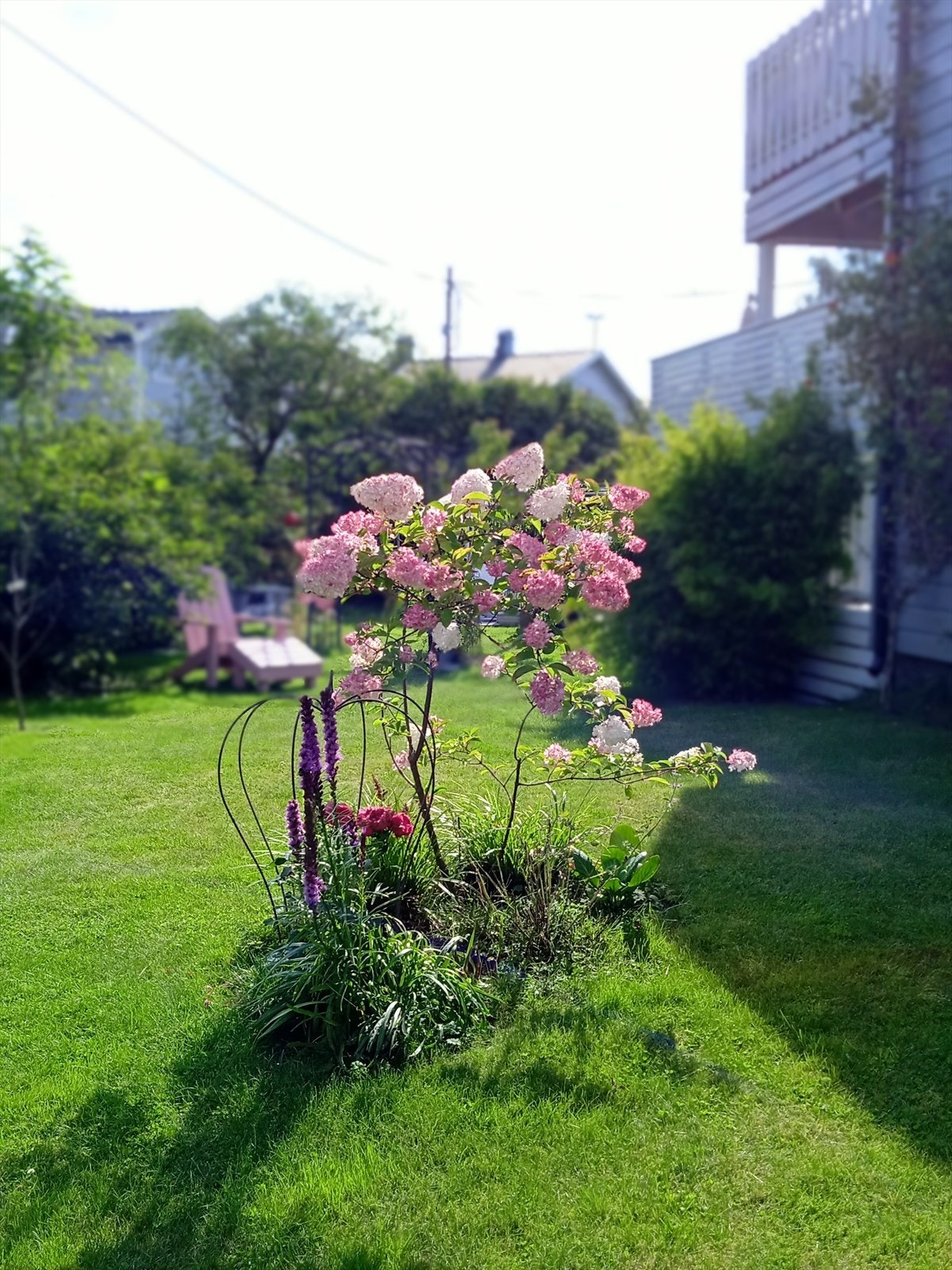 Selgers nydelige sommerbilder. Galleribilde