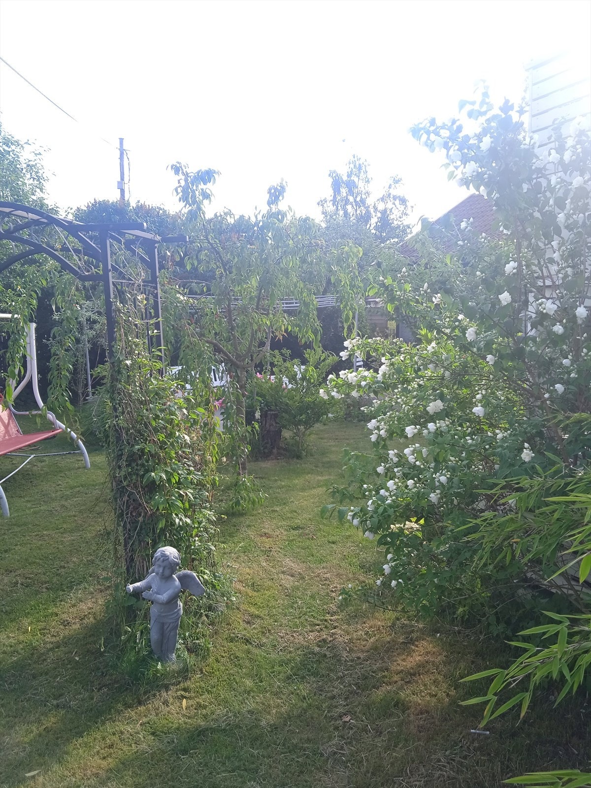 Selgers nydelige sommerbilder. Galleribilde