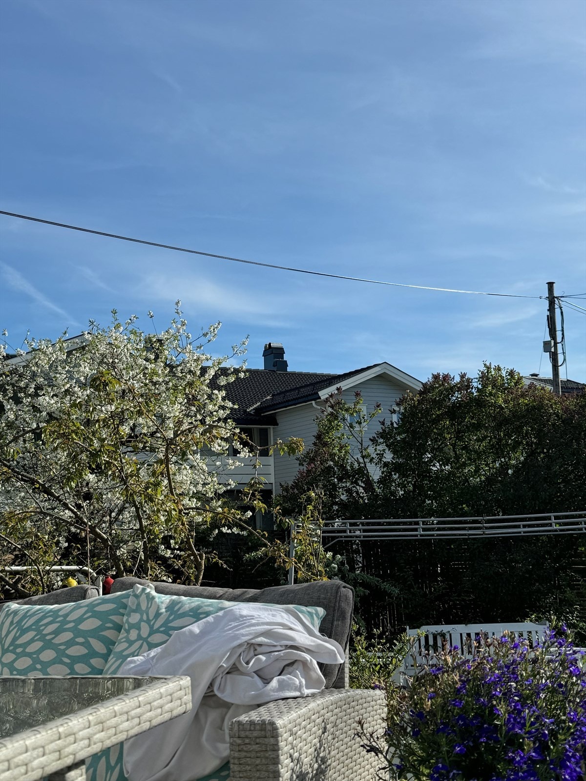 Selgers nydelige sommerbilder. Galleribilde