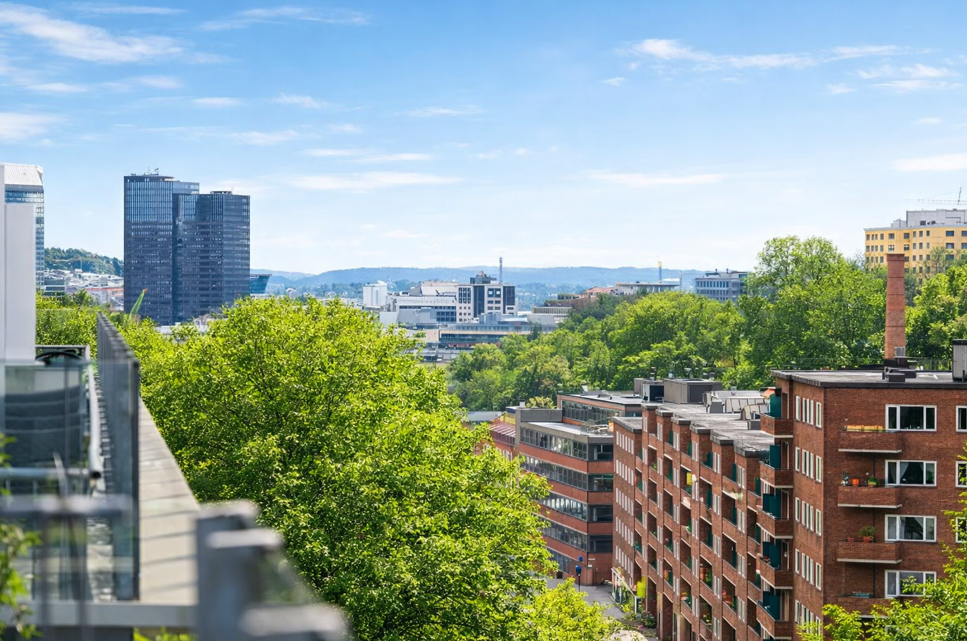 Sommerbilde fra terrassen (Bilde er KI generert) Galleribilde