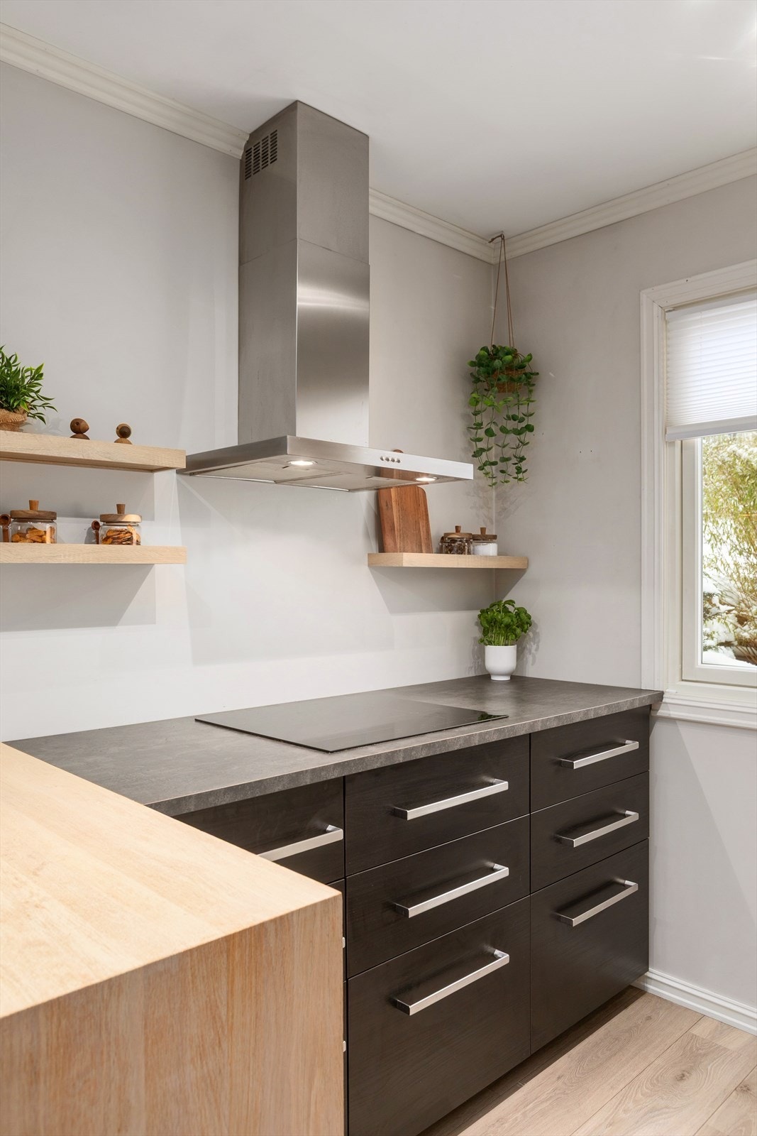 3C2A1135.jpg Galleribilde