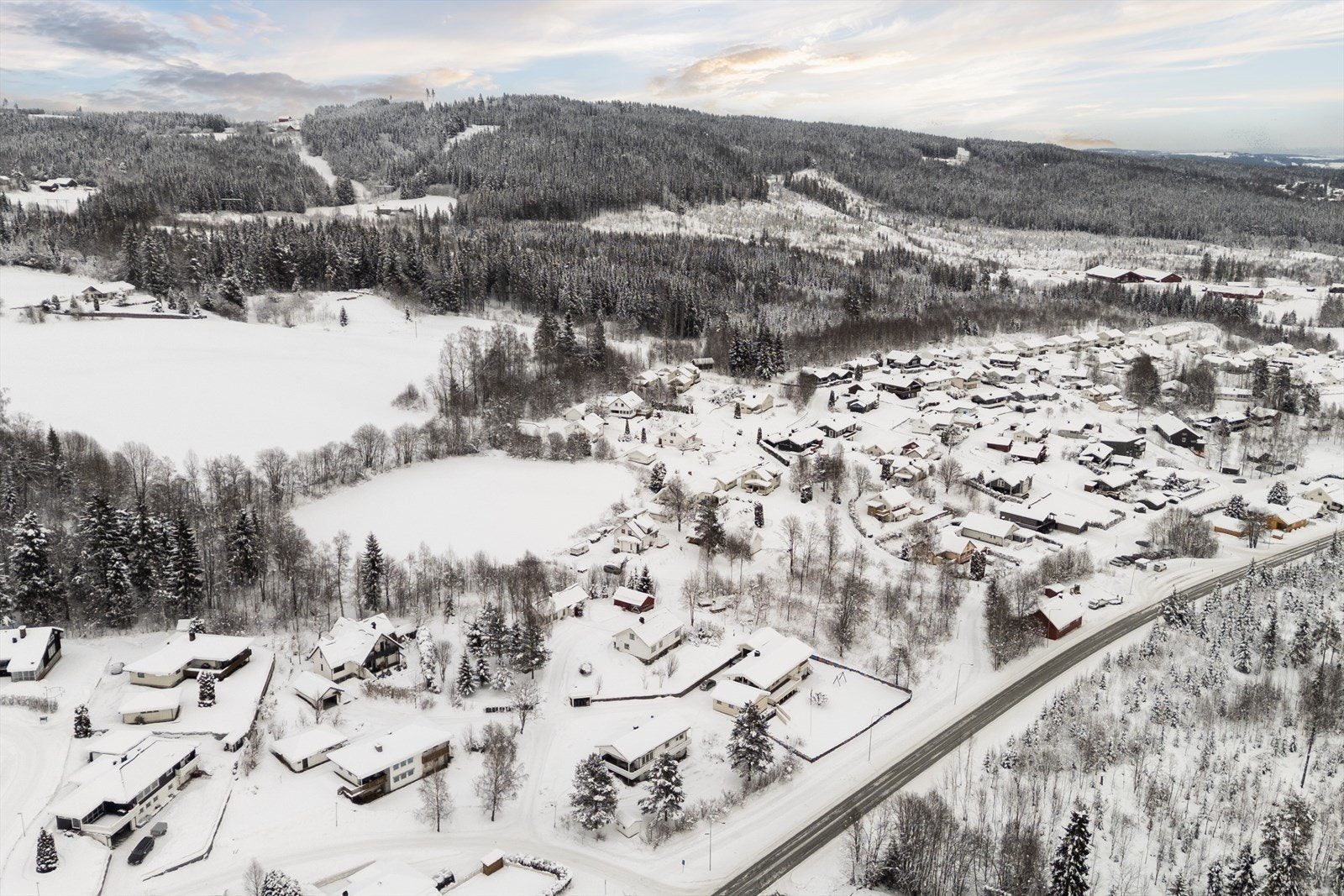 Fra nærområdet. Galleribilde