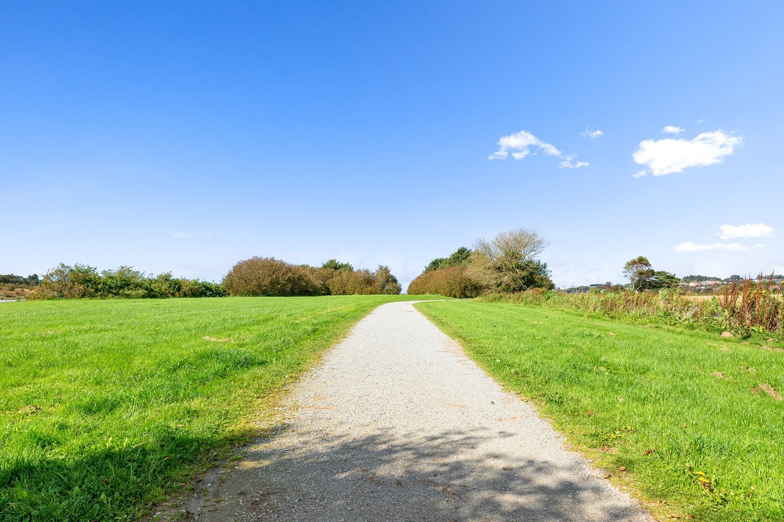 Turstien langs Hafrsfjord like ved Galleribilde