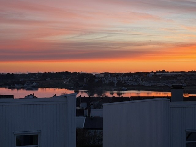 Selgers egne bilder Galleribilde