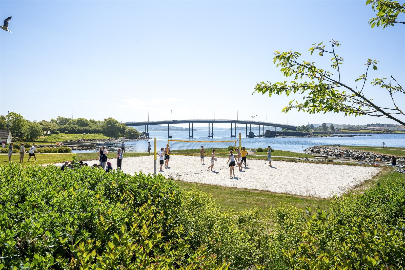 Nærområdet Galleribilde