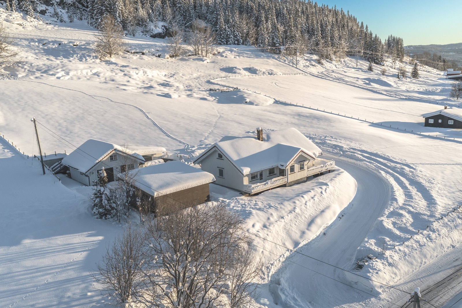 Fantastisk tun. Galleribilde