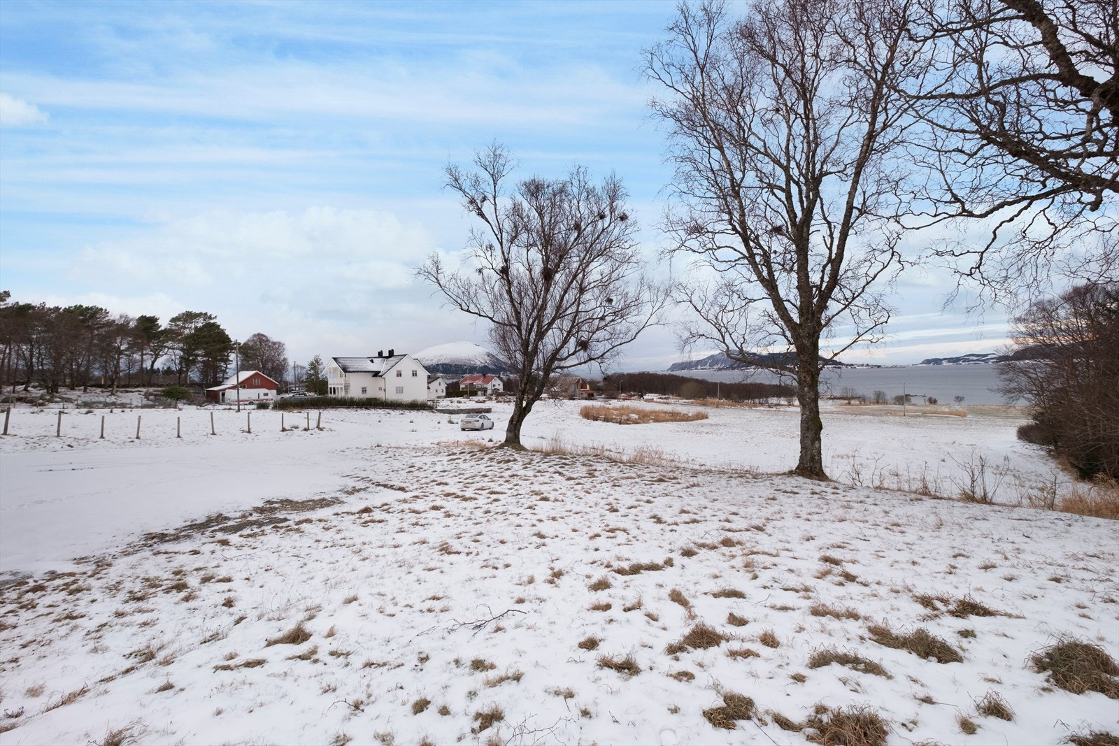 Snødekt mark med spredte trær og utsikt mot fjorden. Galleribilde