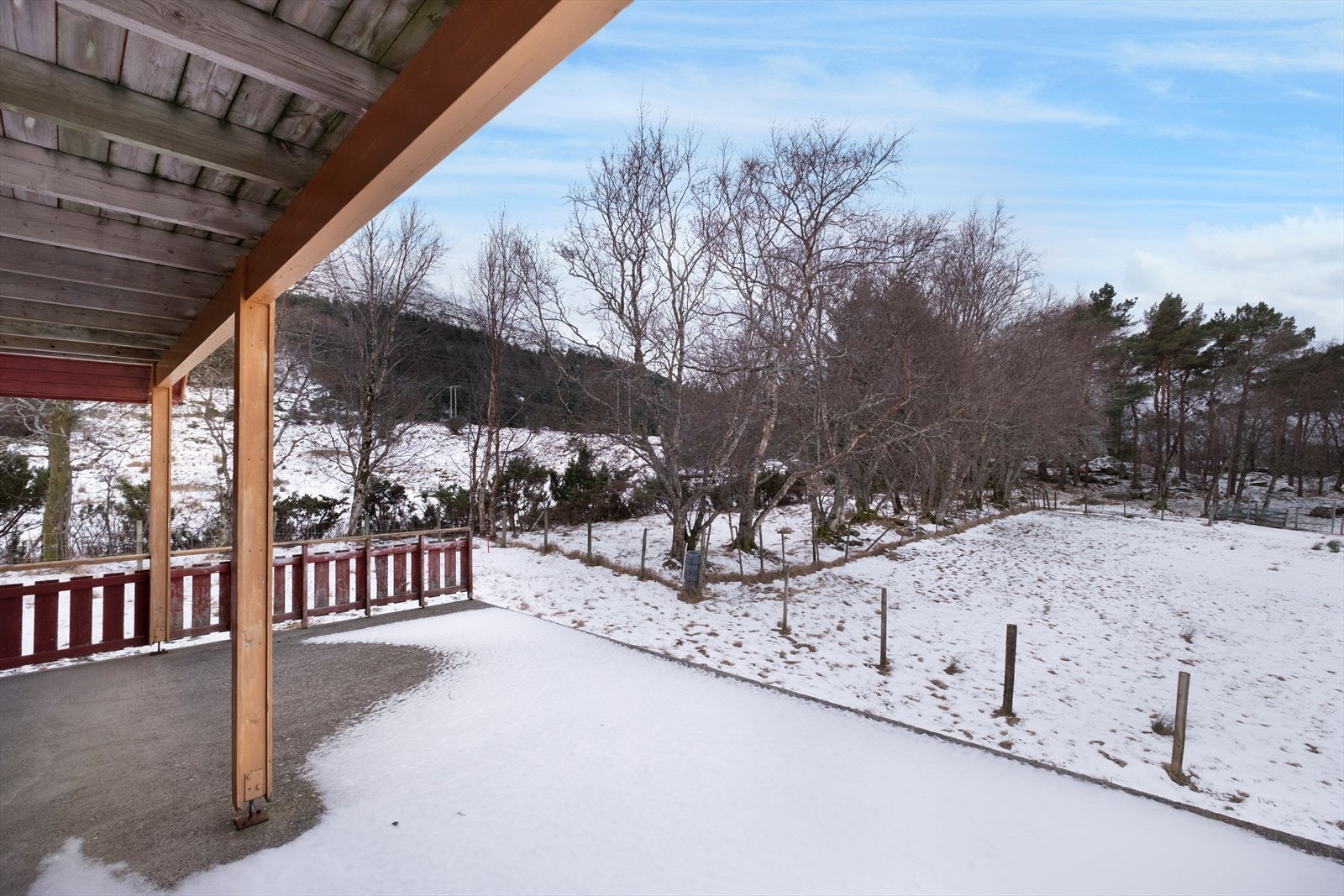 Terrasse med utsikt over snødekt hage og skog. Galleribilde