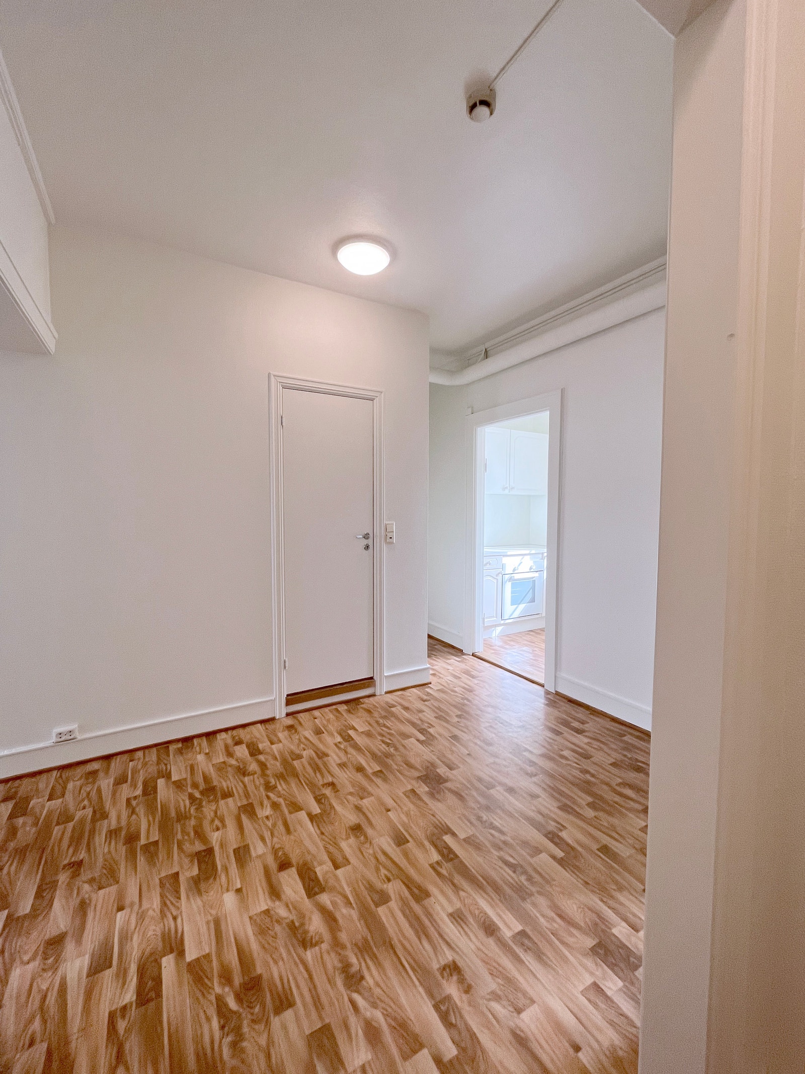 Romslig entrè Galleribilde