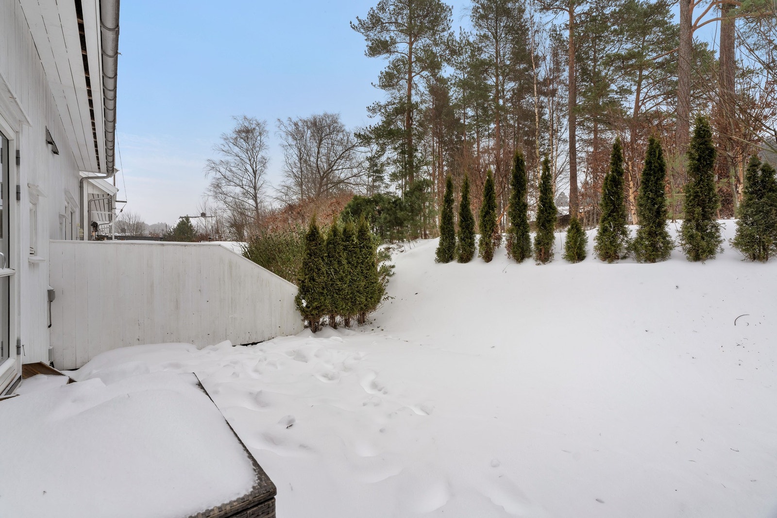 Hage med morgen- og formiddagssol Galleribilde