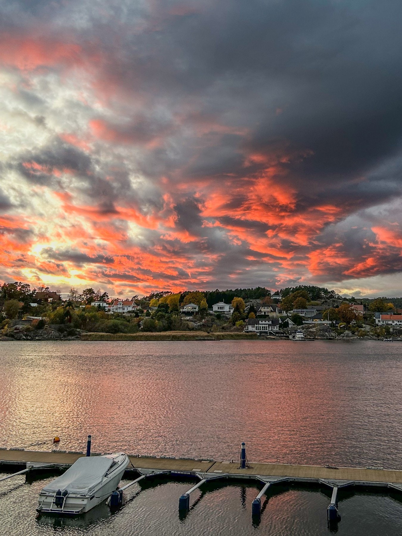 Utsikt fra terrasse. Galleribilde