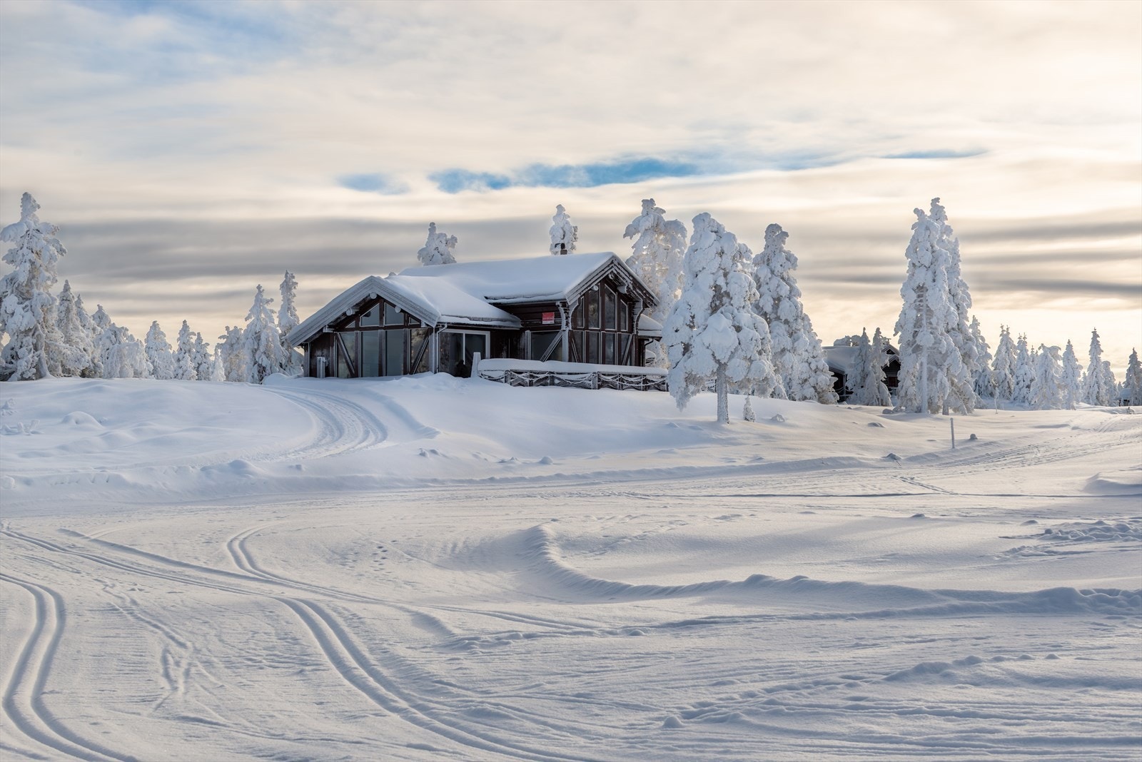 Hytta har en attraktiv og naturskjønn beliggenhet på Blefjell, i rolige og etablerte omgivelser i Nipetovegen. Galleribilde