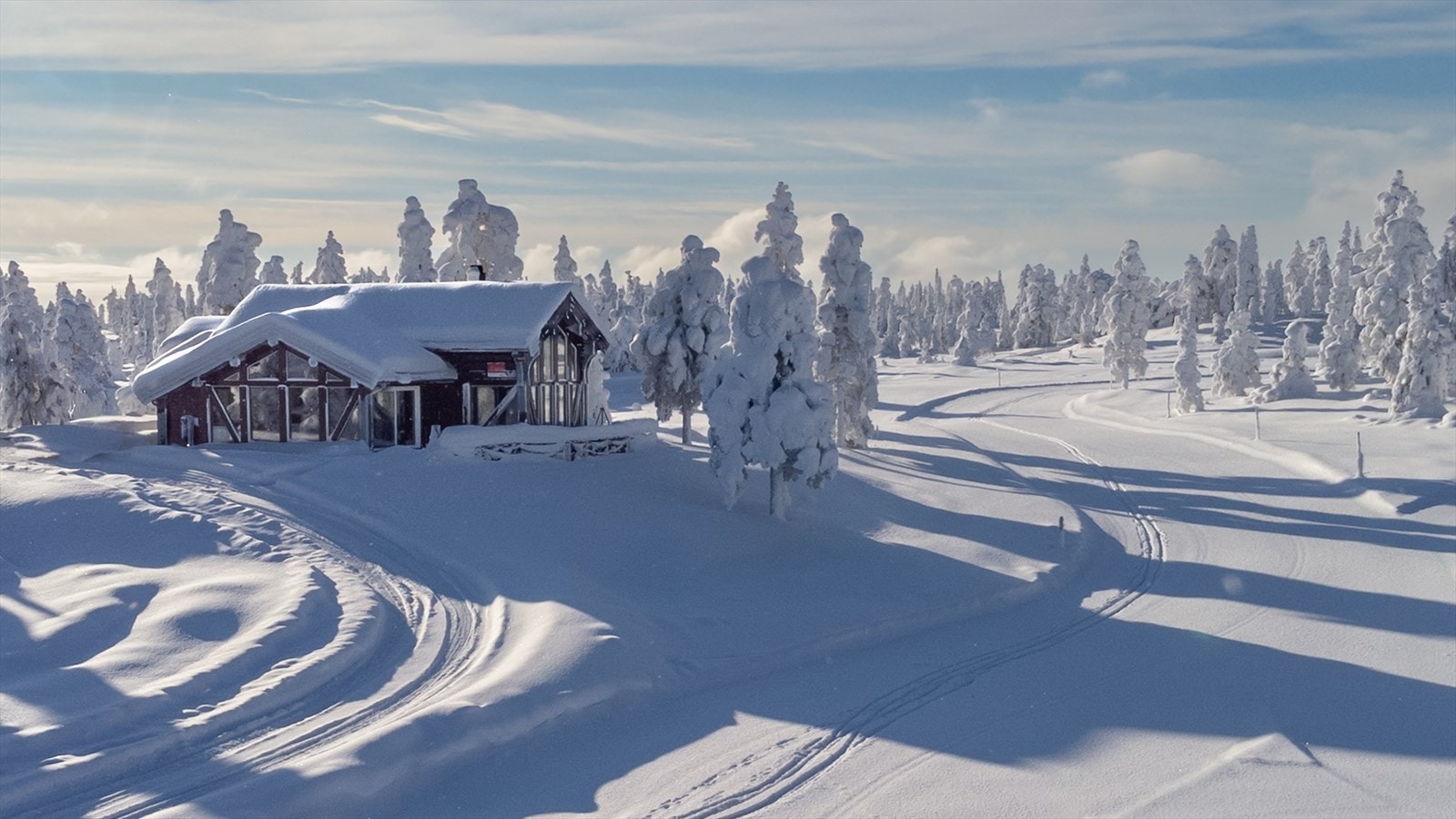 Her får du fine løypenett rett ved siden av hytteveggen. Galleribilde