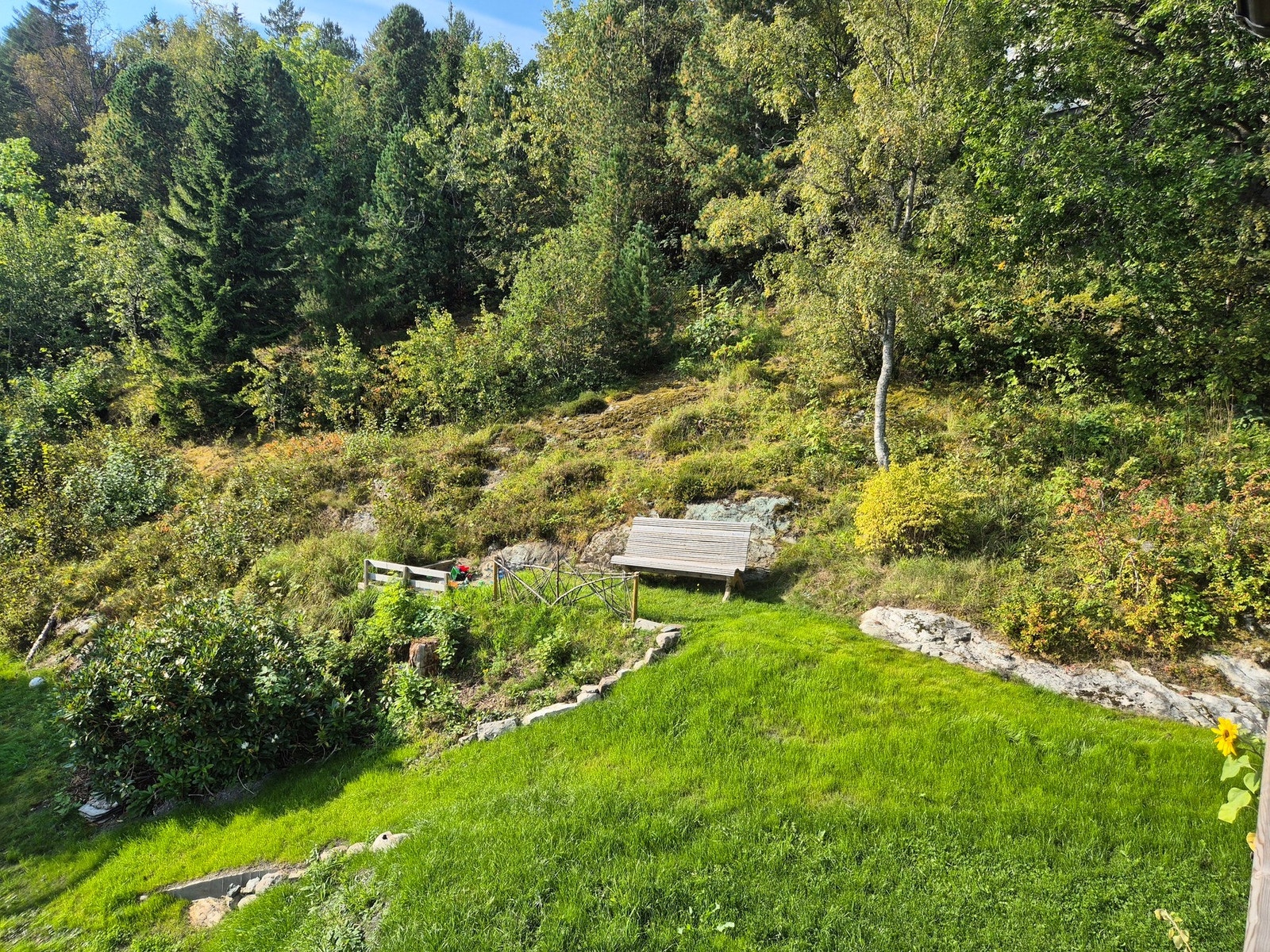 Selgers bilde. Galleribilde