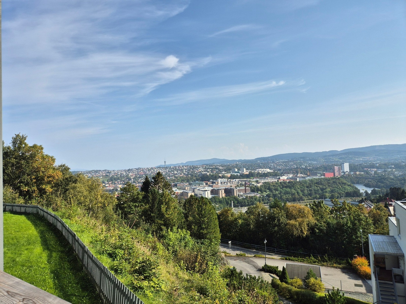 Selgers bilde. Galleribilde