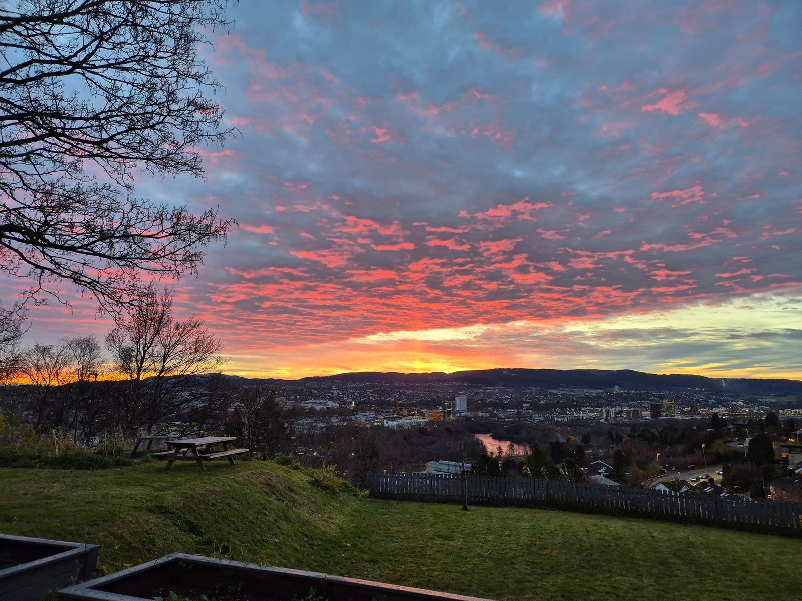 Selgers bilde. Galleribilde