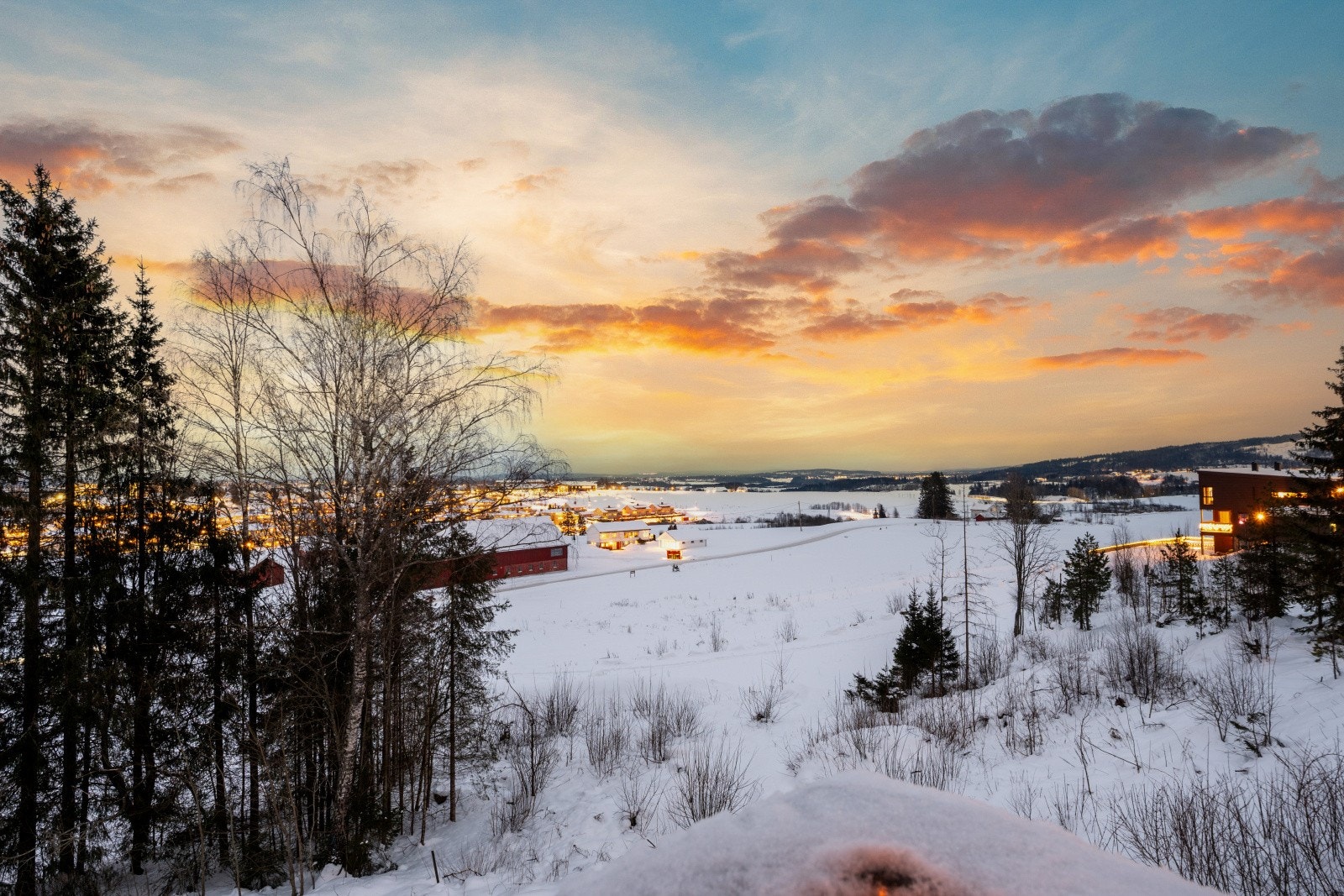 Utsikt. Galleribilde