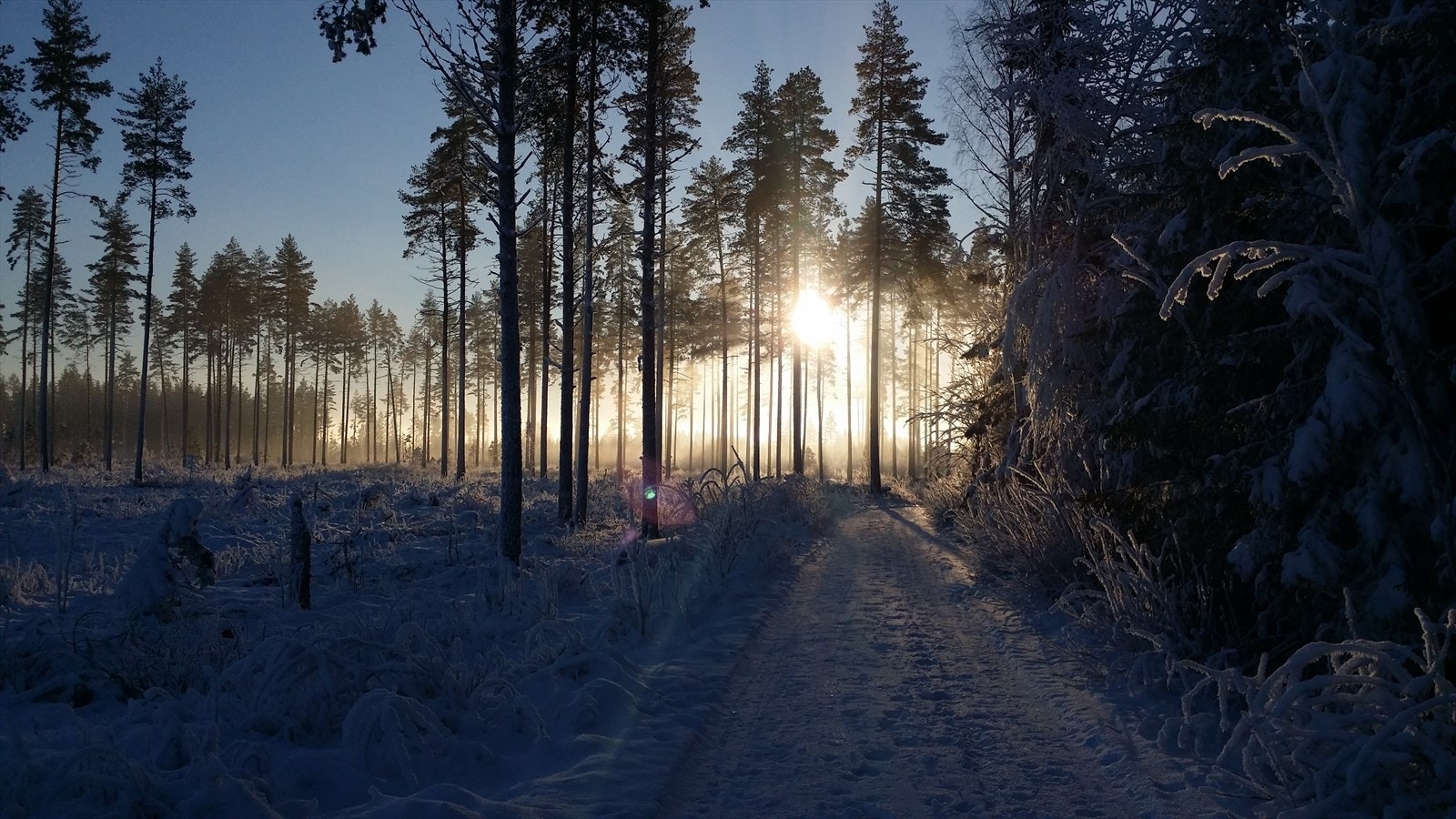 Flotte turområder, rett i nærheten. Galleribilde
