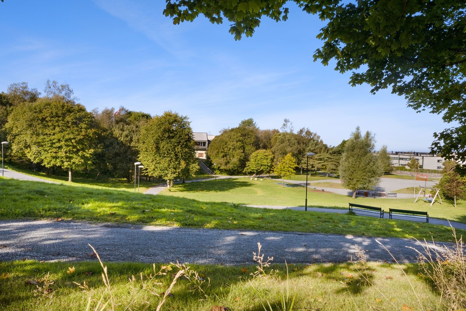 Olsvikparken er et av flere friluftsområder i nærmiljøet. Galleribilde