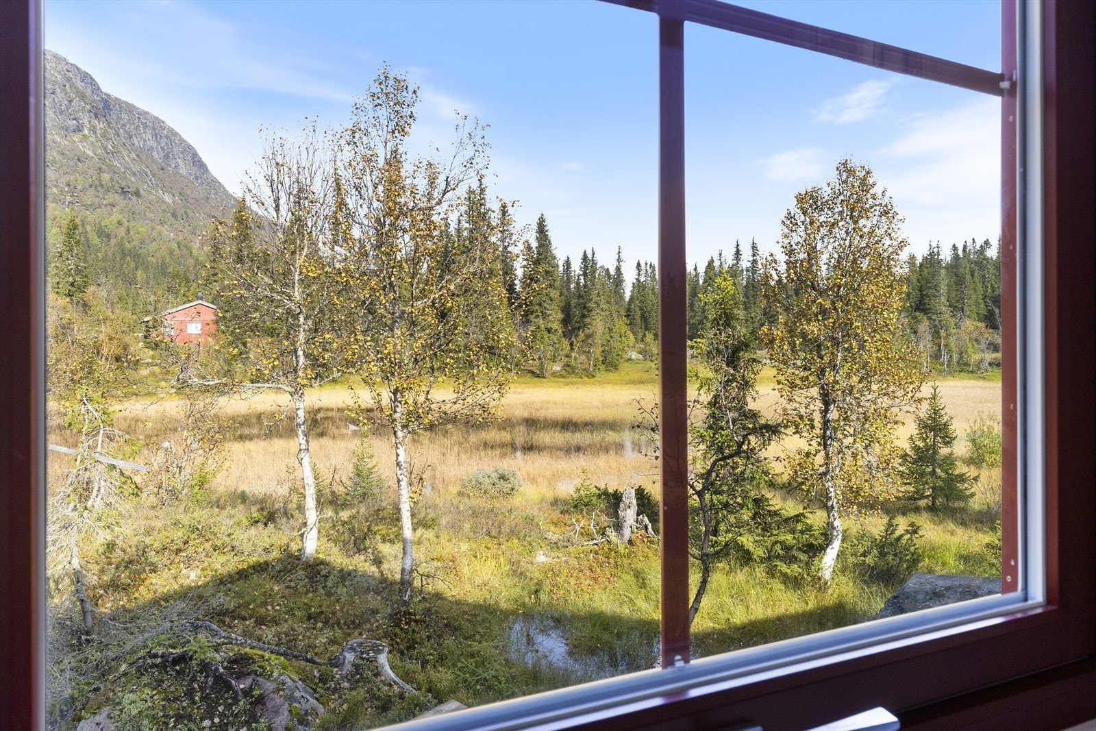 Utsikt fra soveromsvindu Galleribilde