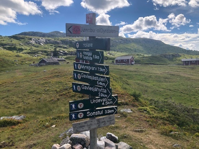 Selgers private bilder Galleribilde