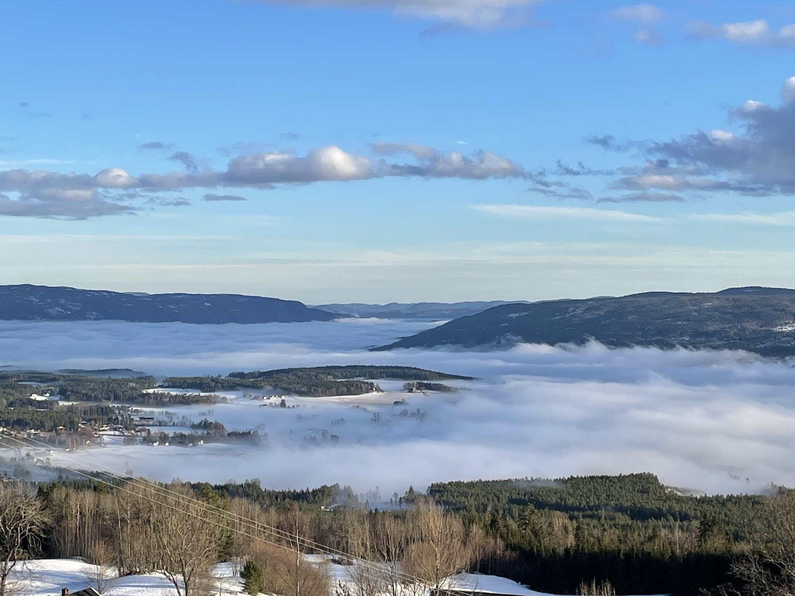 Selgers private bilder Galleribilde