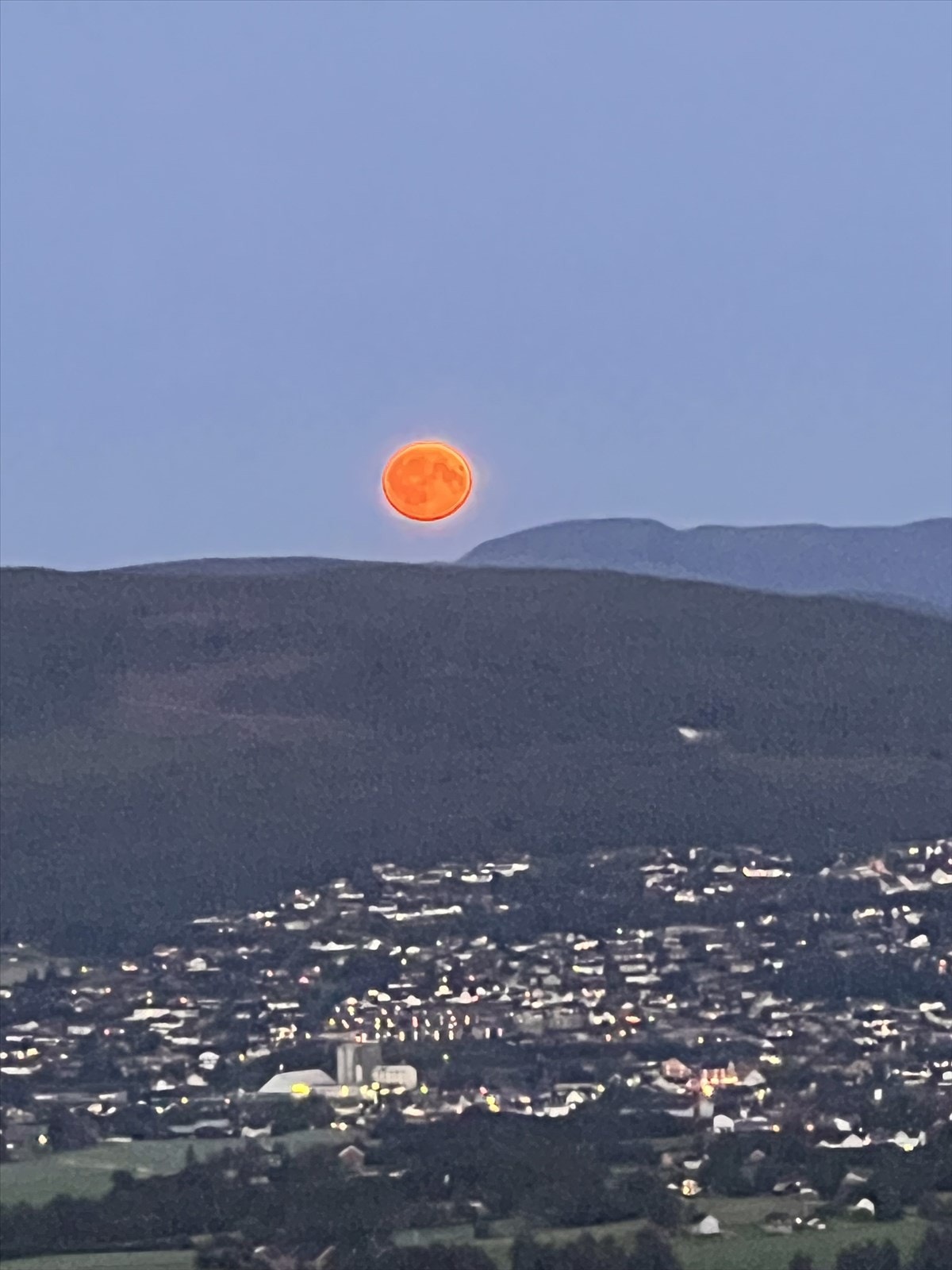 Selgers private bilder Galleribilde