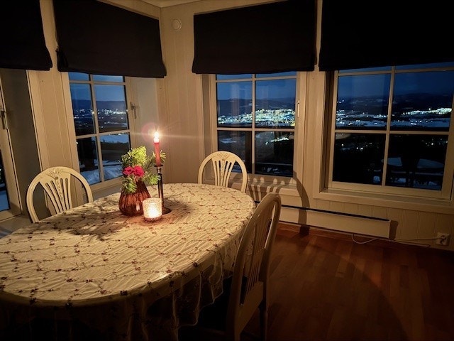 Kveldsutsikt! Selgers bilde. Galleribilde