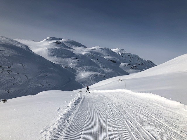 Selgers private bilder Galleribilde