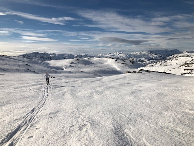 Selgers private bilder Galleribilde