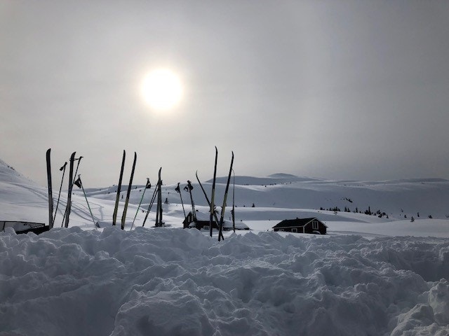 Selgers private bilder Galleribilde