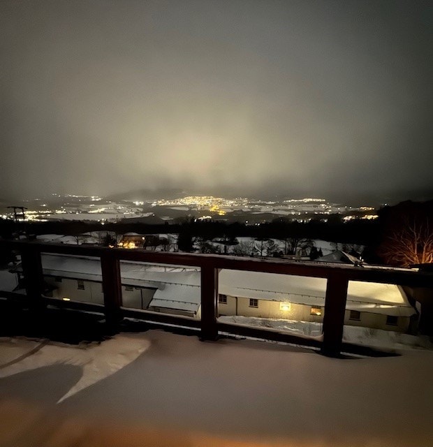 Selgers private bilder Galleribilde