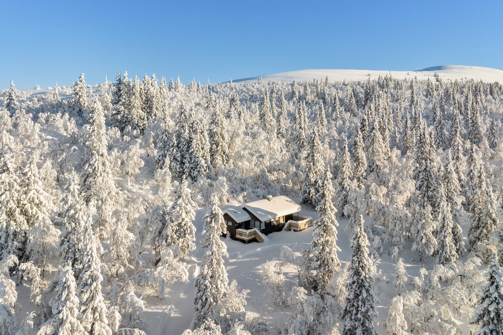 Hytta ligger like ved Trabelifjellet Galleribilde