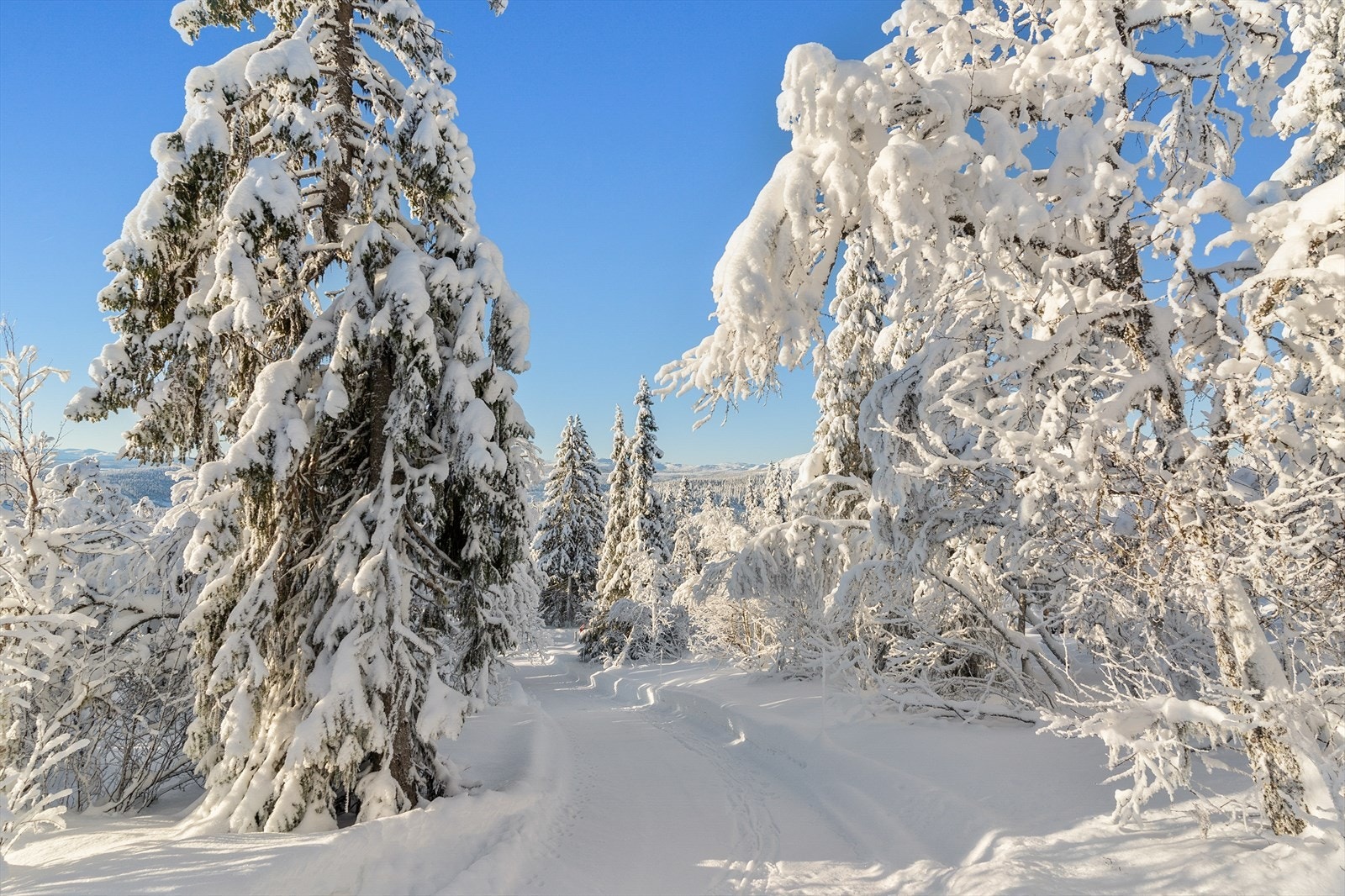 Området har flott turterreng om sommeren og oppkjørte skiløyper på vinteren. Galleribilde
