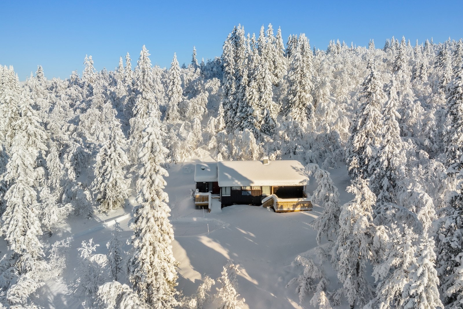 Hytta ligger skjermet til og er omkranset av skog Galleribilde