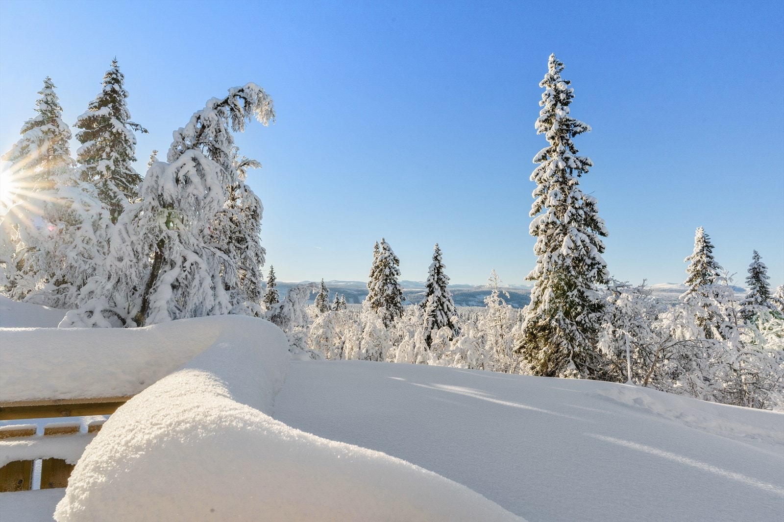 Hytta byr på flott utsikt Galleribilde