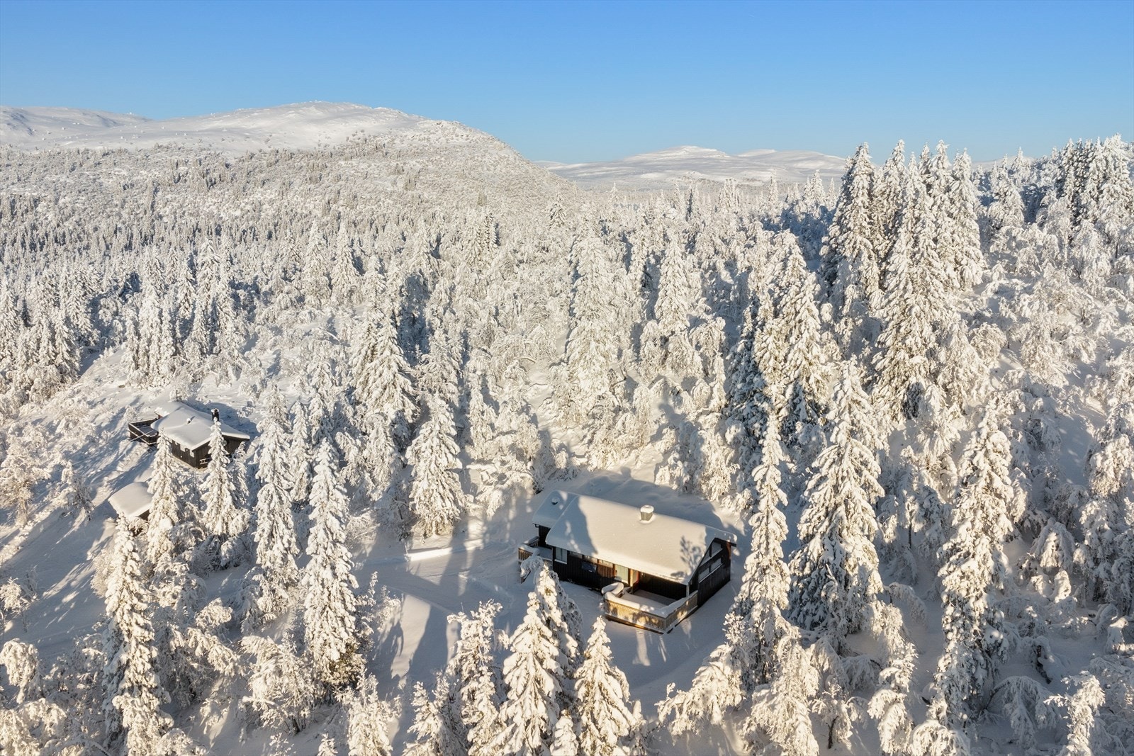 Stor og romslig tomt på over 2 000 kvm Galleribilde
